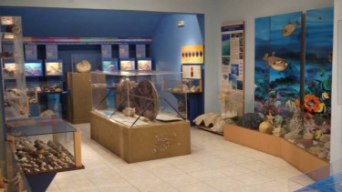 Μουσείο Χέλμη Φυσικής Ιστορίας
