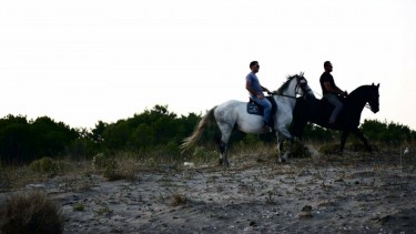 Horse-Riding