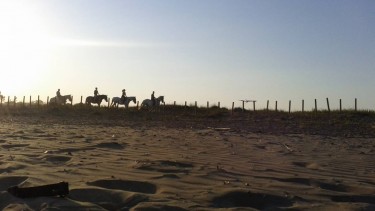 Horse riding in the sant dunes of Laganas