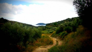 EcoZante partnered Ecotourism-Greece.com