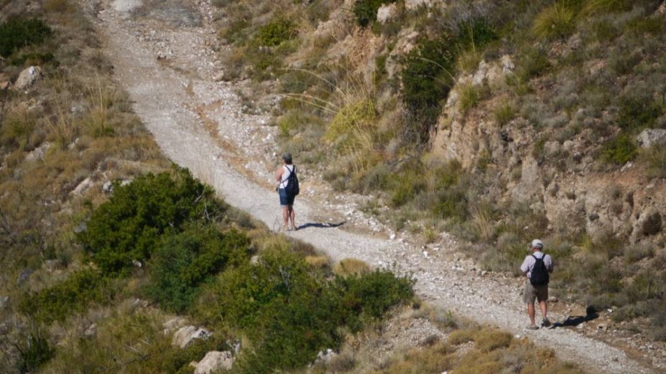 Walking and Cycling