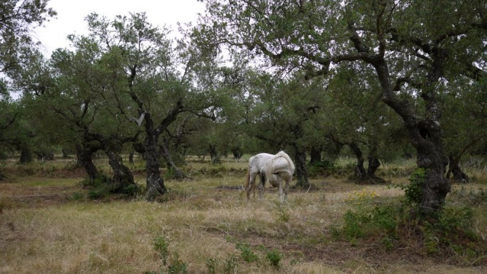 Walking route to Akrotiri