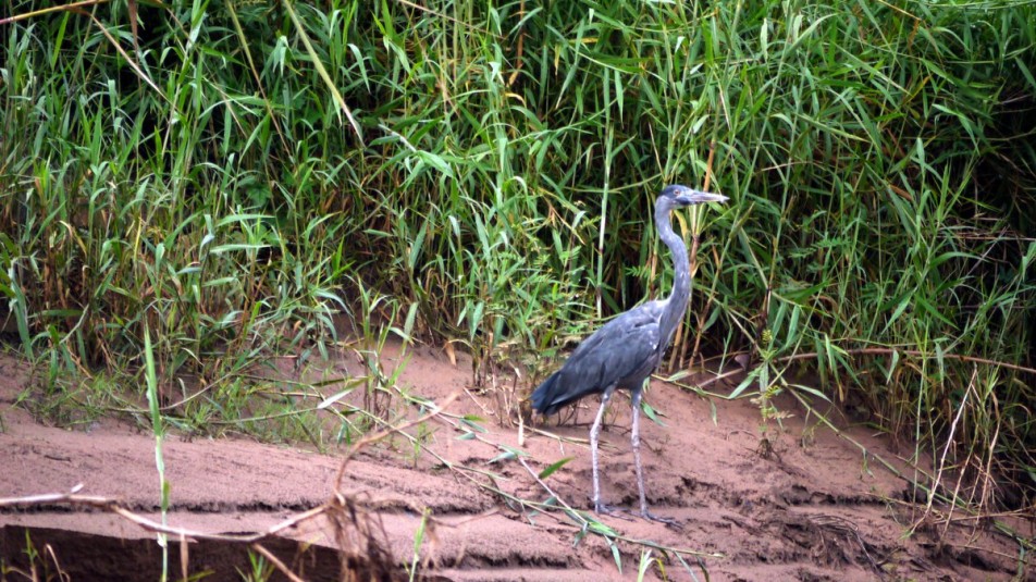 What's common among Zakynthos and Madagascar