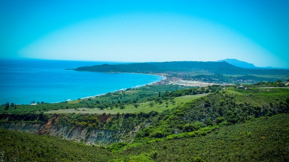 Οι ελιές τις Ζακύνθου