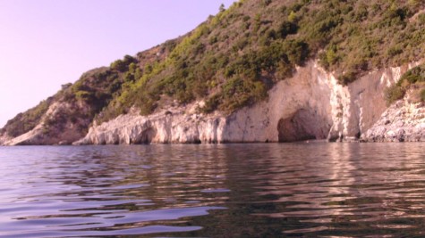 Eco Zante 