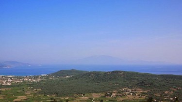 Marine park adventure through medieval olive trees