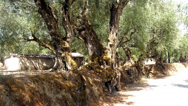 Bike ride in the area of the National Marine Park