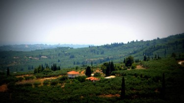 Ποδηλατική διαδρομή στην πεδιάδα της Ζακύνθου