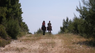 Horse riding on the mountain