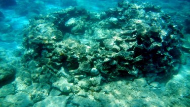 Ancient wells, underwater in Zakynthos