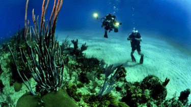 Diving School