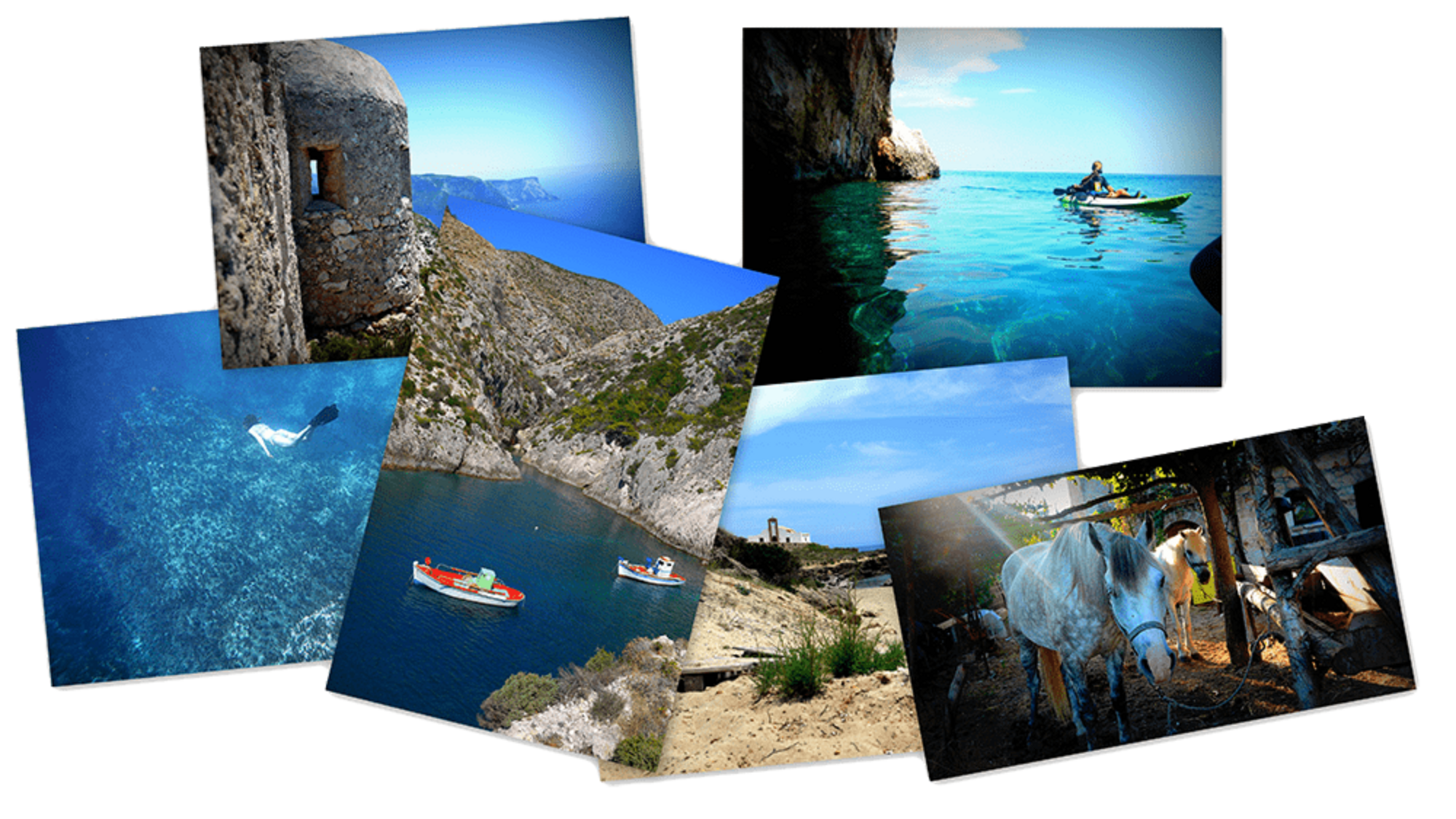 zante image collage